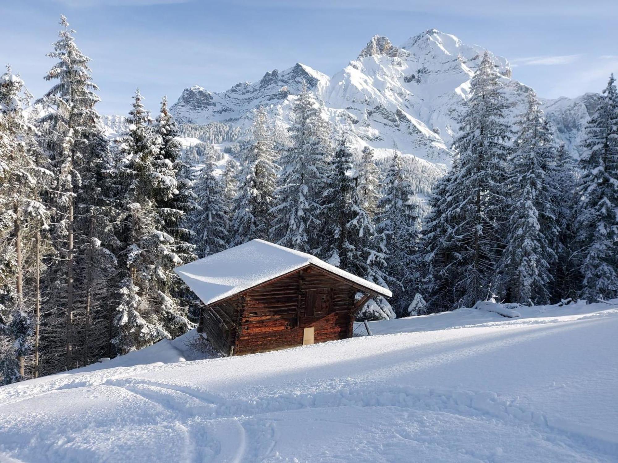 Apartment Laerchehuus By Interhome Adelboden Exterior foto